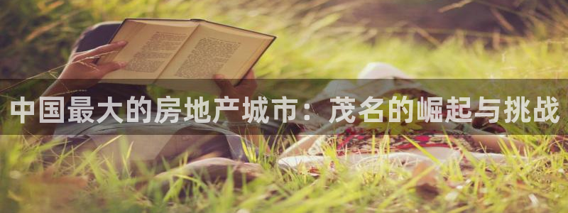 新宝5软件下载：中国最大的房地产城市：茂名的崛起与挑战