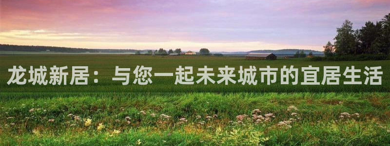 新宝5飞355051：龙城新居：与您一起未来城市的宜居生活