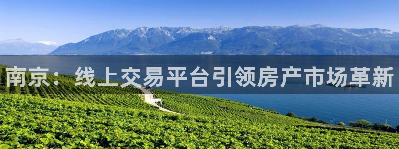 新宝5骗术：南京：线上交易平台引领房产市场革新