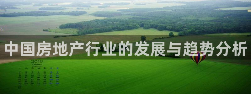 新宝堂新会陈皮5年：中国房地产行业的发展与趋势分析