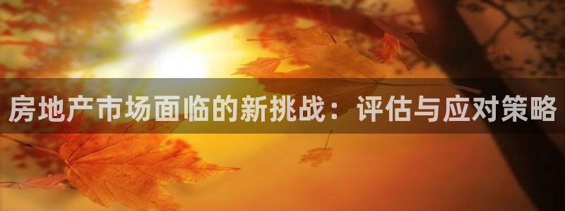新宝5网址：房地产市场面临的新挑战：评估与应对策略