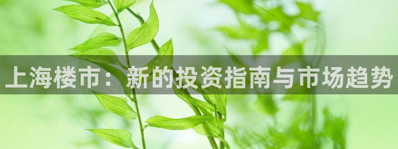 新宝5注册流程：上海楼市：新的投资指南与市场趋势