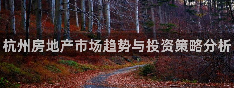 菲律宾新宝5老板：杭州房地产市场趋势与投资策略分析