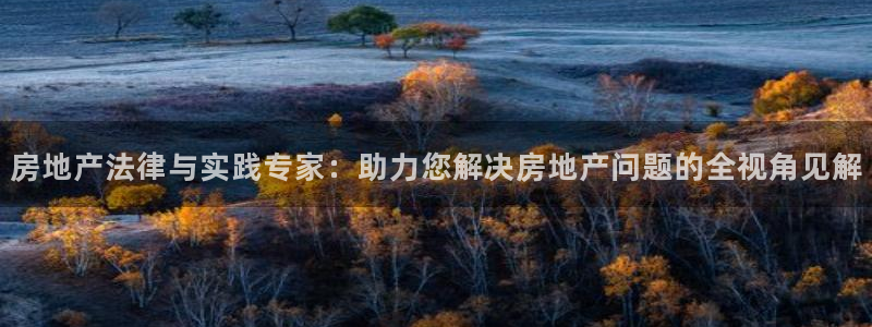 新宝5球维33 300：房地产法律与实践专家：助力您解决房地