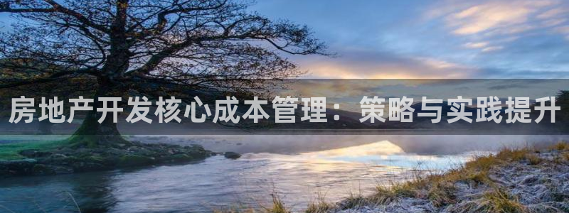 新宝5登录不了：房地产开发核心成本管理：策略与实践提升