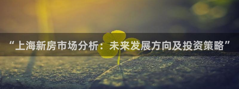 2022新宝骏rs 5：“上海新房市场分析：未来发展方向及投