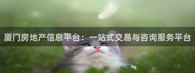 新宝h2O5O5O：厦门房地产信息平台：一站式交易与咨询服务