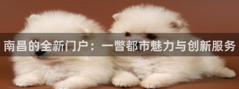新宝5口67五壹叁八：南昌的全新门户：一瞥都市魅力与创新服务