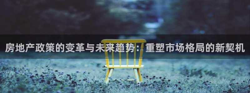 新宝5寂创33300散：房地产政策的变革与未来趋势：重塑市场