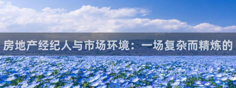 新宝堂新会陈皮5年：房地产经纪人与市场环境：一场复杂而精炼的