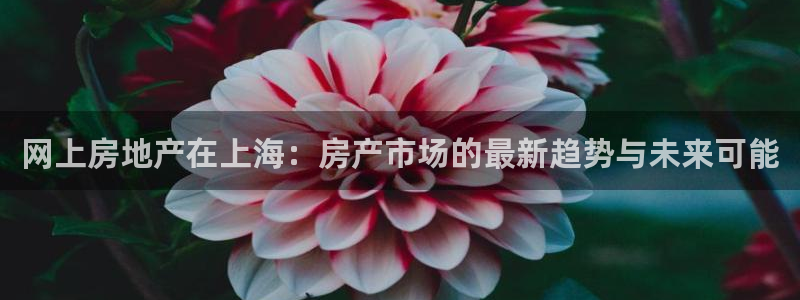 新宝3得74OO5：网上房地产在上海：房产市场的最新趋势与未