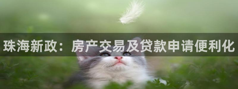 新宝5月：珠海新政：房产交易及贷款申请便利化