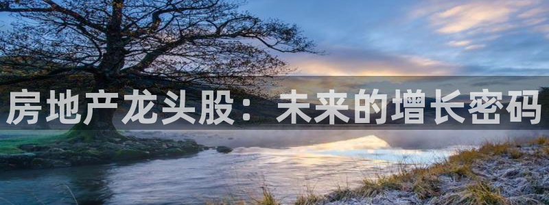 新宝5手机下载：房地产龙头股：未来的增长密码