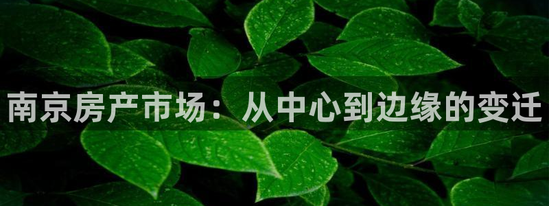新宝5黑：南京房产市场：从中心到边缘的变迁