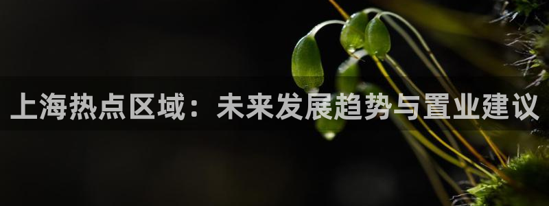 新宝5-测速：上海热点区域：未来发展趋势与置业建议