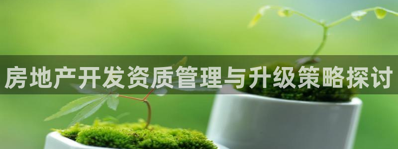 新宝5平台注册：房地产开发资质管理与升级策略探讨