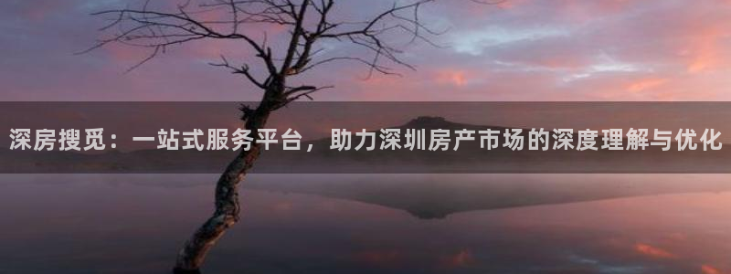 新宝5蒋7O667：深房搜觅：一站式服务平台，助力深圳房产市