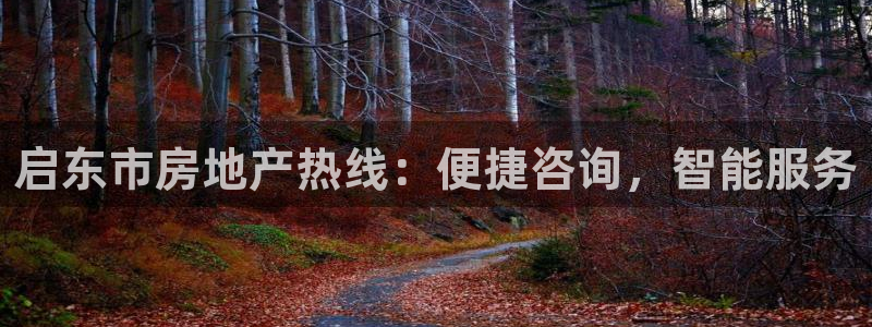 新宝5地址：启东市房地产热线：便捷咨询，智能服务