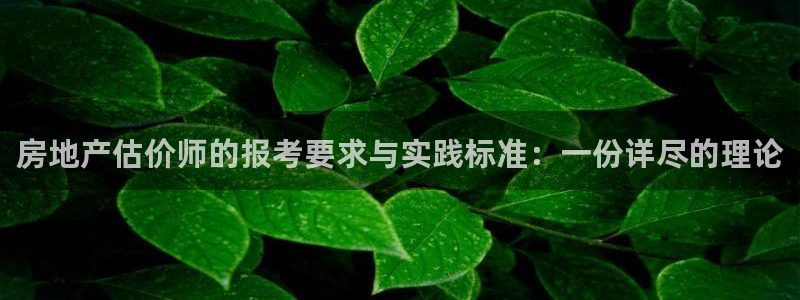 新宝5平台霸：房地产估价师的报考要求与实践标准：一份详尽的理