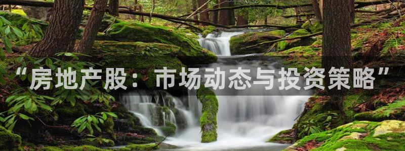 新宝5新宝6顺达：“房地产股：市场动态与投资策略”