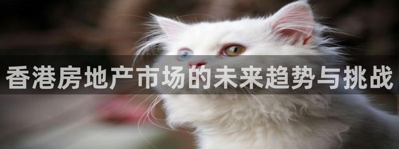 新宝5源码：香港房地产市场的未来趋势与挑战