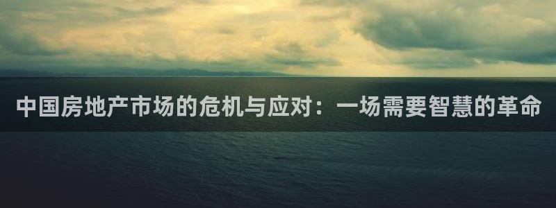 新宝那2O5O5O：中国房地产市场的危机与应对：一场需要智慧