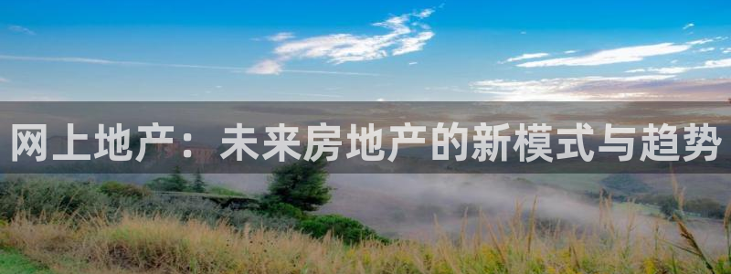 新宝新5：网上地产：未来房地产的新模式与趋势