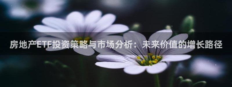 新宝5户端：房地产ETF投资策略与市场分析：未来价值的增长路