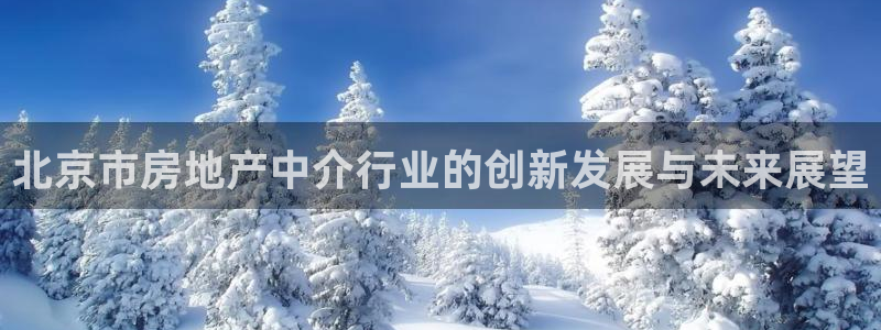 新宝5官网：北京市房地产中介行业的创新发展与未来展望