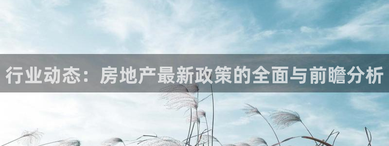 新宝5账号注册：行业动态：房地产最新政策的全面与前瞻分析