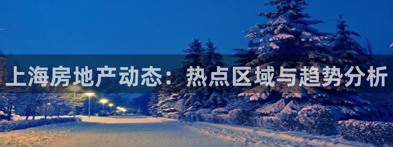 新宝5注册平台：上海房地产动态：热点区域与趋势分析