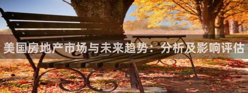 新宝5娱乐平台：美国房地产市场与未来趋势：分析及影响评估