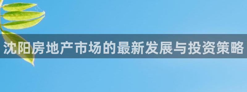 新宝那2O5O5O：沈阳房地产市场的最新发展与投资策略