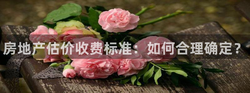 皇冠新宝5：房地产估价收费标准：如何合理确定？