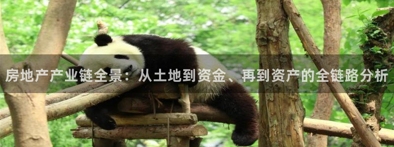 新宝5平台登录下载软件：房地产产业链全景：从土地到资金、再到