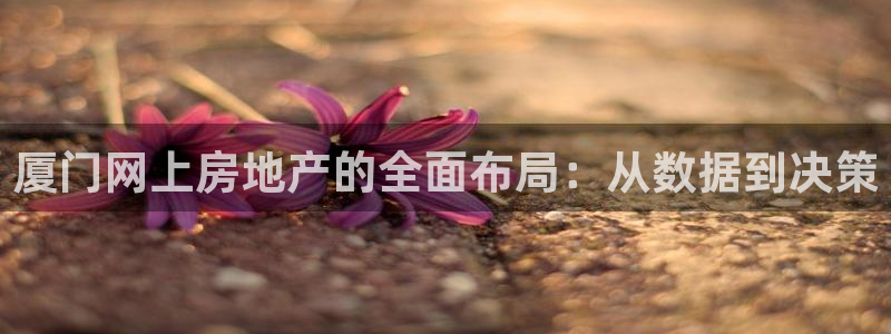 新宝堂新会陈皮5年：厦门网上房地产的全面布局：从数据到决策