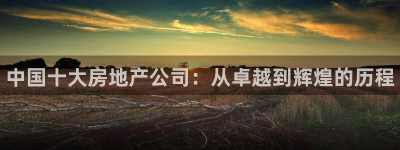 新宝5得74OOO5：中国十大房地产公司：从卓越到辉煌的历程