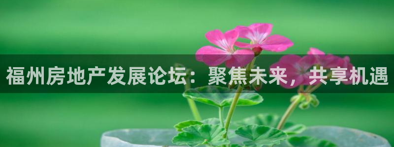 新宝奇迹GG5：福州房地产发展论坛：聚焦未来，共享机遇