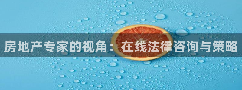 新宝5现在还能玩吗：房地产专家的视角：在线法律咨询与策略