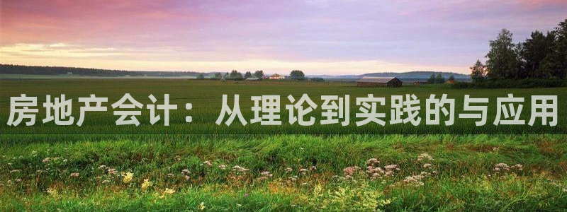 新宝5-测速：房地产会计：从理论到实践的与应用