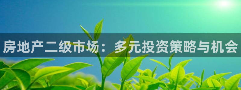 新宝5找找74OOO5：房地产二级市场：多元投资策略与机会