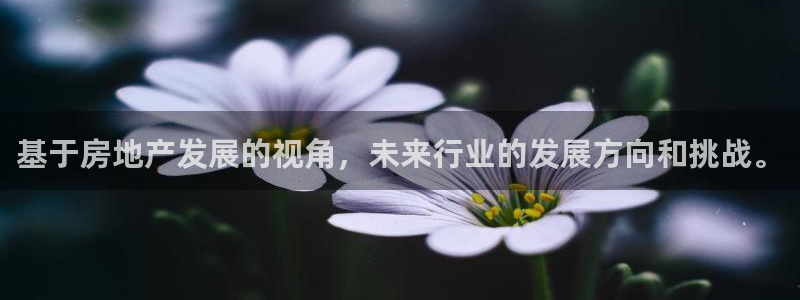 新宝5如何注册：基于房地产发展的视角，未来行业的发展方向和挑