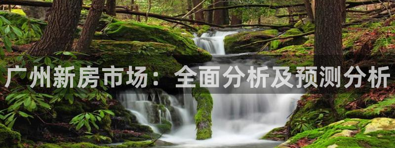 新宝5褚74OOO5：广州新房市场：全面分析及预测分析