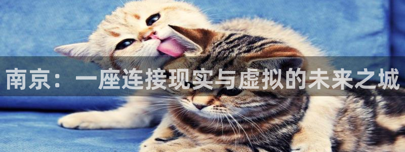 新宝b2O5O5O：南京：一座连接现实与虚拟的未来之城