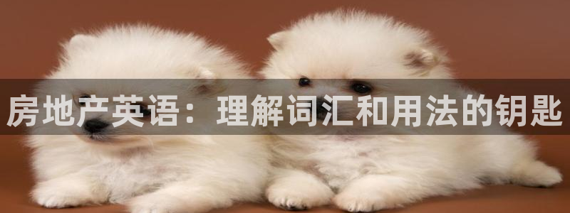 新宝5授权：房地产英语：理解词汇和用法的钥匙