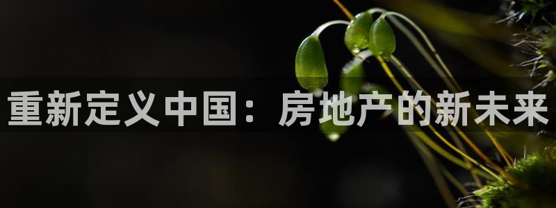新宝5 唯一：重新定义中国：房地产的新未来
