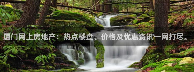 p5r新宝魔：厦门网上房地产：热点楼盘、价格及优惠资讯一网打