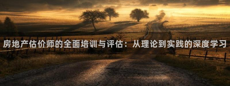 新宝5为啥开：房地产估价师的全面培训与评估：从理论到实践的深