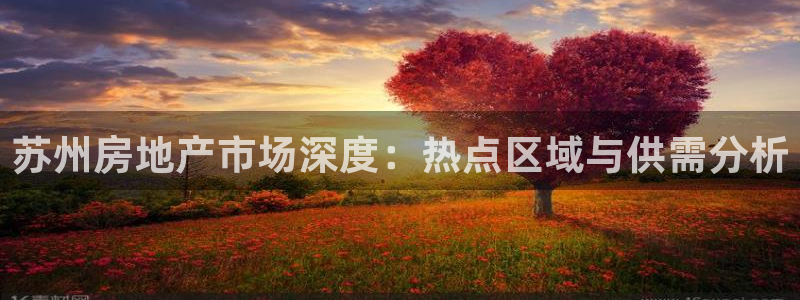 新宝5注册首页：苏州房地产市场深度：热点区域与供需分析