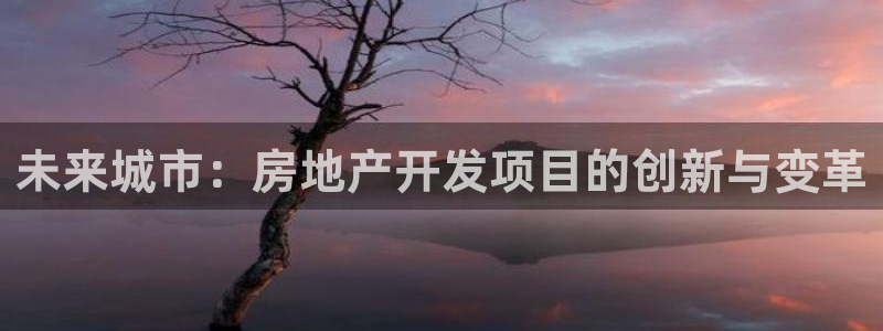 新宝5新宝6顺达：未来城市：房地产开发项目的创新与变革